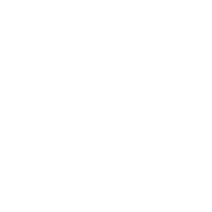 HyperVelocity White logo